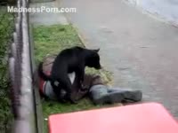 Drunk homeless chap is getting gangbanged by a dark dog in the street